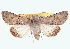  ( - BIOUG11930-D10)  @14 [ ] CreativeCommons - Attribution (2014) CBG Photography Group Centre for Biodiversity Genomics