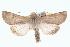  ( - BIOUG11930-D12)  @14 [ ] CreativeCommons - Attribution (2014) CBG Photography Group Centre for Biodiversity Genomics