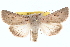  ( - BIOUG11930-E02)  @14 [ ] CreativeCommons - Attribution (2014) CBG Photography Group Centre for Biodiversity Genomics