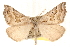  ( - BIOUG11930-E05)  @14 [ ] CreativeCommons - Attribution (2014) CBG Photography Group Centre for Biodiversity Genomics