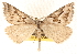  ( - BIOUG11930-E06)  @14 [ ] CreativeCommons - Attribution (2014) CBG Photography Group Centre for Biodiversity Genomics