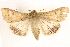  ( - BIOUG11933-B09)  @14 [ ] CreativeCommons - Attribution (2014) CBG Photography Group Centre for Biodiversity Genomics