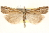  ( - BIOUG11933-G12)  @14 [ ] CreativeCommons - Attribution (2014) CBG Photography Group Centre for Biodiversity Genomics