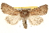  ( - BIOUG12229-C09)  @14 [ ] CreativeCommons - Attribution (2014) CBG Photography Group Centre for Biodiversity Genomics