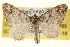  ( - BIOUG12229-F03)  @14 [ ] CreativeCommons - Attribution (2014) CBG Photography Group Centre for Biodiversity Genomics
