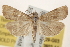  ( - BIOUG12229-G03)  @14 [ ] CreativeCommons - Attribution (2014) CBG Photography Group Centre for Biodiversity Genomics
