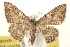  ( - BIOUG12229-H09)  @14 [ ] CreativeCommons - Attribution (2014) CBG Photography Group Centre for Biodiversity Genomics