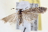  ( - BIOUG12230-A08)  @13 [ ] CreativeCommons - Attribution (2014) CBG Photography Group Centre for Biodiversity Genomics