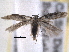  ( - BIOUG12230-D04)  @13 [ ] CreativeCommons - Attribution (2014) CBG Photography Group Centre for Biodiversity Genomics
