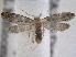  ( - BIOUG12230-E04)  @13 [ ] CreativeCommons - Attribution (2014) CBG Photography Group Centre for Biodiversity Genomics