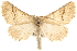  ( - BIOUG14216-B10)  @14 [ ] CreativeCommons - Attribution (2014) CBG Photography Group Centre for Biodiversity Genomics