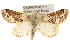  ( - BIOUG14217-B03)  @14 [ ] CreativeCommons - Attribution (2014) CBG Photography Group Centre for Biodiversity Genomics