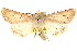  ( - BIOUG14217-C04)  @14 [ ] CreativeCommons - Attribution (2014) CBG Photography Group Centre for Biodiversity Genomics