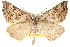  ( - BIOUG14217-E04)  @14 [ ] CreativeCommons - Attribution (2014) CBG Photography Group Centre for Biodiversity Genomics