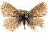  ( - BIOUG14217-F12)  @13 [ ] CreativeCommons - Attribution (2014) CBG Photography Group Centre for Biodiversity Genomics