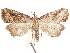  ( - BIOUG23753-H09)  @11 [ ] CreativeCommons - Attribution (2019) CBG Photography Group Centre for Biodiversity Genomics