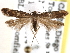  ( - BIOUG26826-G08)  @14 [ ] CreativeCommons - Attribution (2016) CBG Photography Group Centre for Biodiversity Genomics