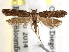  ( - BIOUG26826-G10)  @14 [ ] CreativeCommons - Attribution (2016) CBG Photography Group Centre for Biodiversity Genomics