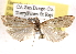  ( - BIOUG26826-H04)  @12 [ ] CreativeCommons - Attribution (2016) CBG Photography Group Centre for Biodiversity Genomics