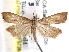  ( - BIOUG26826-H08)  @14 [ ] CreativeCommons - Attribution (2016) CBG Photography Group Centre for Biodiversity Genomics