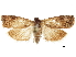 ( - BIOUG44858-E05)  @13 [ ] CreativeCommons - Attribution (2018) CBG Photography Group Centre for Biodiversity Genomics