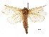  ( - BIOUG44858-G04)  @11 [ ] CreativeCommons - Attribution (2018) CBG Photography Group Centre for Biodiversity Genomics