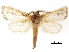  ( - BIOUG44858-G06)  @11 [ ] CreativeCommons - Attribution (2018) CBG Photography Group Centre for Biodiversity Genomics