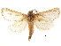  ( - BIOUG44858-G07)  @11 [ ] CreativeCommons - Attribution (2018) CBG Photography Group Centre for Biodiversity Genomics