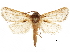  ( - BIOUG44858-G09)  @11 [ ] CreativeCommons - Attribution (2018) CBG Photography Group Centre for Biodiversity Genomics