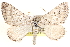  ( - CCDB-17964-B07)  @14 [ ] CreativeCommons - Attribution (2014) CBG Photography Group Centre for Biodiversity Genomics