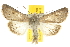  ( - BIOUG07173-A08)  @14 [ ] CreativeCommons - Attribution (2012) CBG Photography Group Centre for Biodiversity Genomics