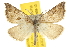  ( - BIOUG07173-F10)  @14 [ ] CreativeCommons - Attribution (2012) CBG Photography Group Centre for Biodiversity Genomics