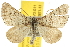  ( - BIOUG07173-G11)  @14 [ ] CreativeCommons - Attribution (2012) CBG Photography Group Centre for Biodiversity Genomics