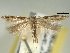  ( - BIOUG06174-A08)  @12 [ ] CreativeCommons - Attribution (2013) CBG Photography Group Centre for Biodiversity Genomics