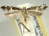  ( - BIOUG06174-B07)  @13 [ ] CreativeCommons - Attribution (2013) CBG Photography Group Centre for Biodiversity Genomics