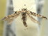  ( - BIOUG06174-E03)  @13 [ ] CreativeCommons - Attribution (2013) CBG Photography Group Centre for Biodiversity Genomics