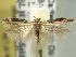  ( - BIOUG06174-F08)  @12 [ ] CreativeCommons - Attribution (2013) CBG Photography Group Centre for Biodiversity Genomics