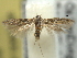  ( - BIOUG06174-G12)  @13 [ ] CreativeCommons - Attribution (2013) CBG Photography Group Centre for Biodiversity Genomics