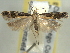  ( - BIOUG06174-H06)  @14 [ ] CreativeCommons - Attribution (2013) CBG Photography Group Centre for Biodiversity Genomics