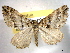  ( - BIOUG06175-B04)  @14 [ ] CreativeCommons - Attribution (2013) CBG Photography Group Centre for Biodiversity Genomics