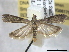  ( - BIOUG06175-F05)  @14 [ ] CreativeCommons - Attribution (2013) CBG Photography Group Centre for Biodiversity Genomics