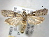  ( - BIOUG06177-E05)  @14 [ ] CreativeCommons - Attribution (2013) CBG Photography Group Centre for Biodiversity Genomics