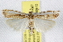  ( - BIOUG06177-G07)  @13 [ ] CreativeCommons - Attribution (2013) CBG Photography Group Centre for Biodiversity Genomics