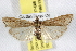  ( - BIOUG06177-G08)  @14 [ ] CreativeCommons - Attribution (2013) CBG Photography Group Centre for Biodiversity Genomics
