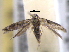  ( - BIOUG06178-C10)  @12 [ ] CreativeCommons - Attribution (2013) CBG Photography Group Centre for Biodiversity Genomics