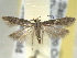  ( - BIOUG06178-E06)  @14 [ ] CreativeCommons - Attribution (2013) CBG Photography Group Centre for Biodiversity Genomics