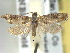  ( - BIOUG06178-E12)  @14 [ ] CreativeCommons - Attribution (2013) CBG Photography Group Centre for Biodiversity Genomics