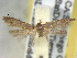  ( - BIOUG06178-F05)  @12 [ ] CreativeCommons - Attribution (2013) CBG Photography Group Centre for Biodiversity Genomics