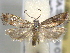  ( - BIOUG06257-D01)  @14 [ ] CreativeCommons - Attribution (2013) CBG Photography Group Centre for Biodiversity Genomics