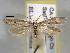  ( - BIOUG06257-F03)  @14 [ ] CreativeCommons - Attribution (2013) CBG Photography Group Centre for Biodiversity Genomics